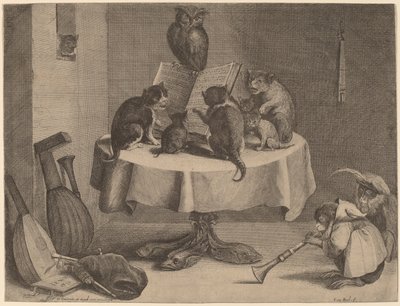 The Cat